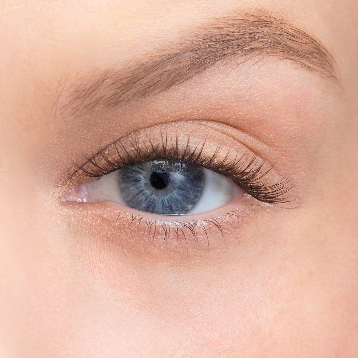 Amplify Core Gossamer® Lash - Image 90